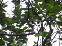 100_1703.jpg